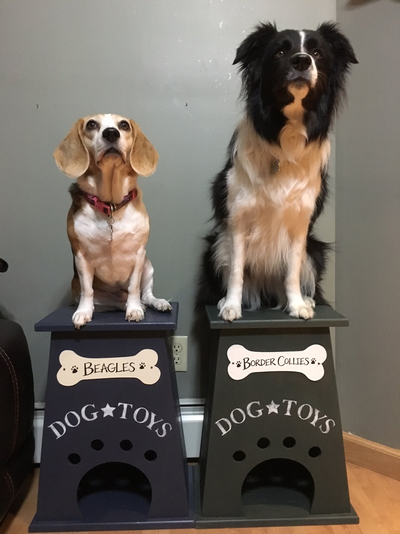 Dog Toy Box
