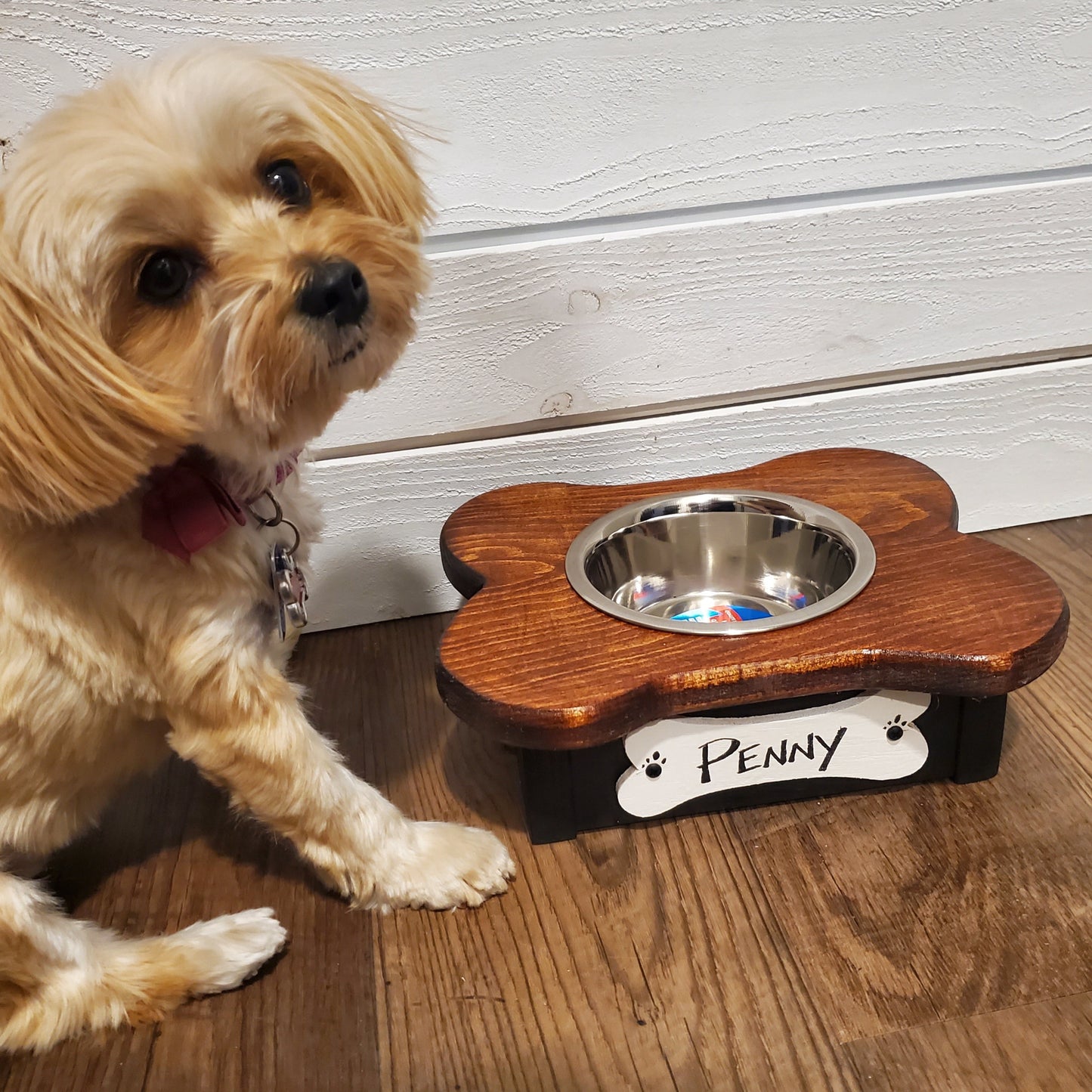 Single raised dog feeder